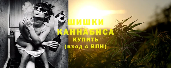 молекула духа Бронницы