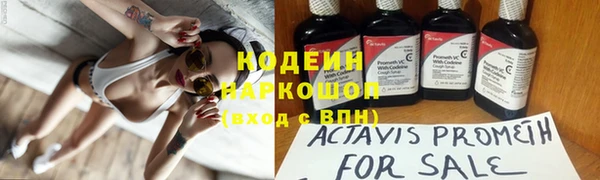 молекула духа Бронницы