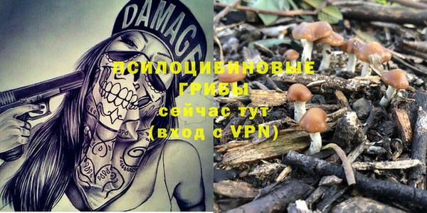 молекула духа Бронницы