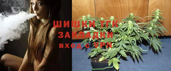 молекула духа Бронницы